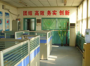 湾区数字化浪潮下的天津软件开发新机遇